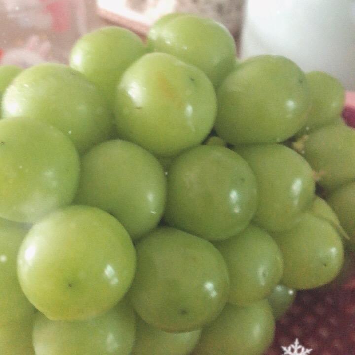 大家好大大