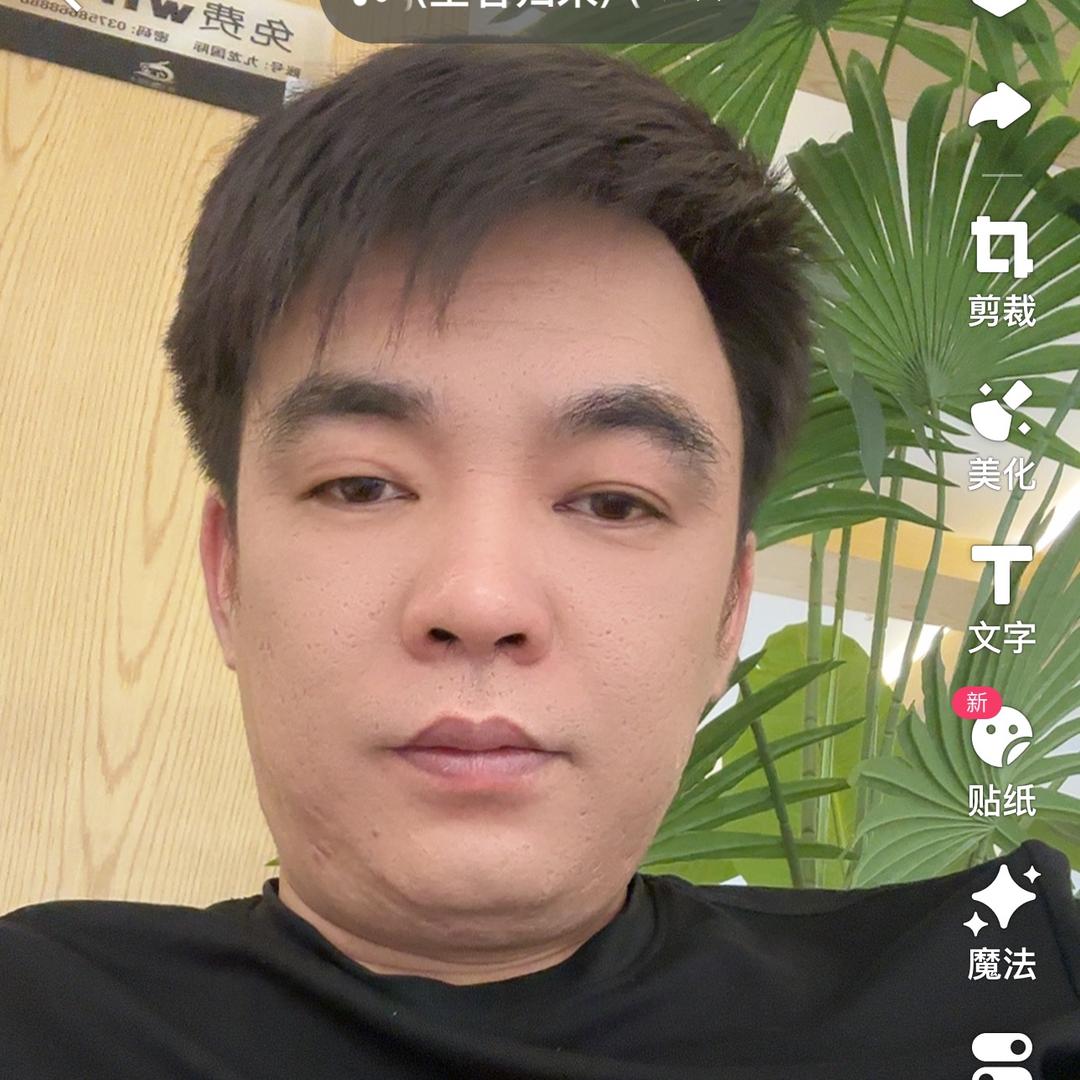 平顶山鸽子批发