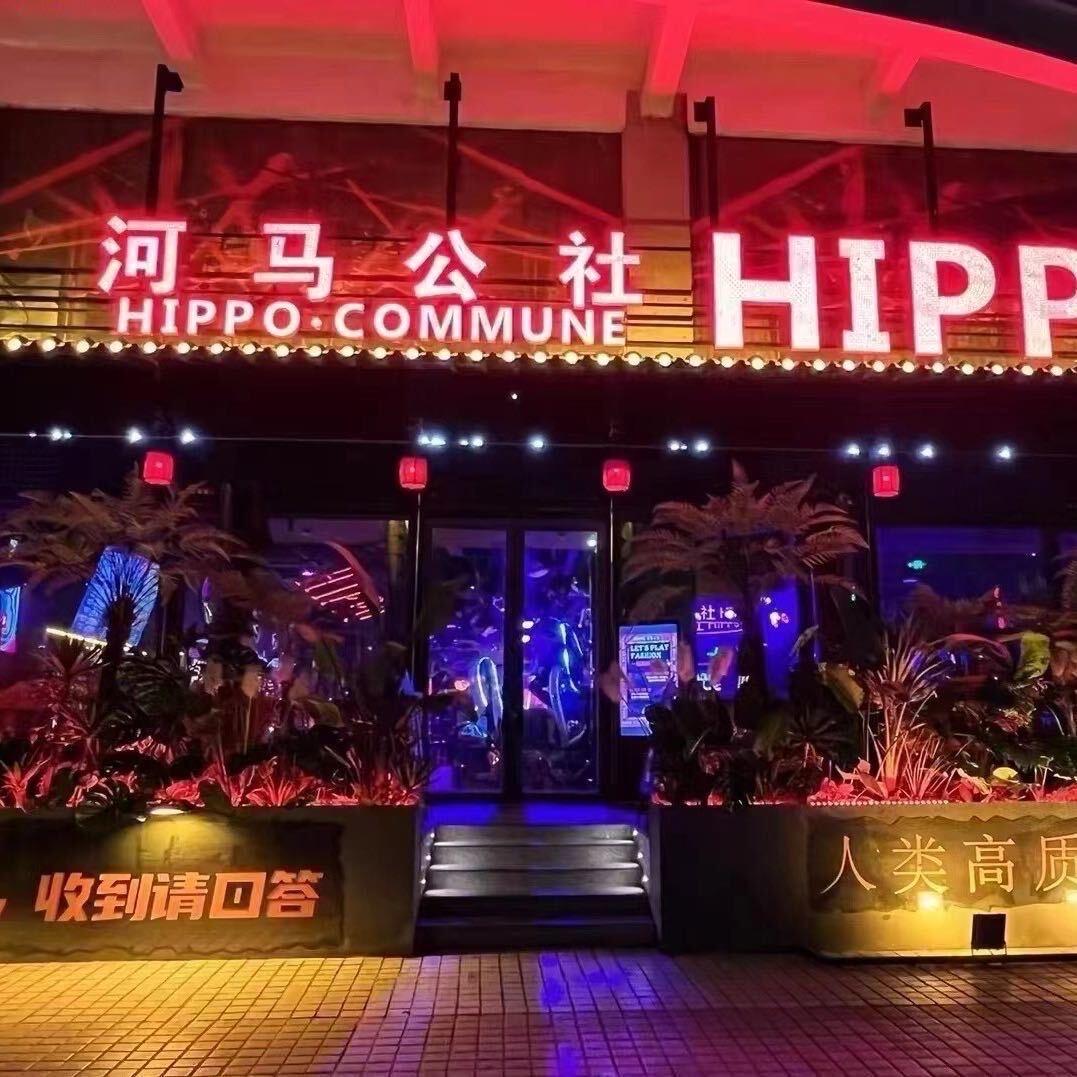 河马公社_子豪