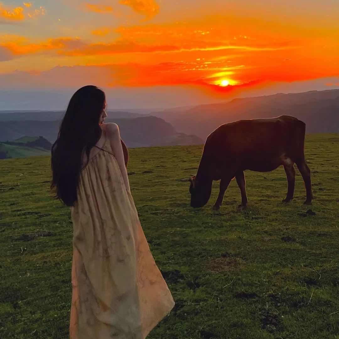 不畏.