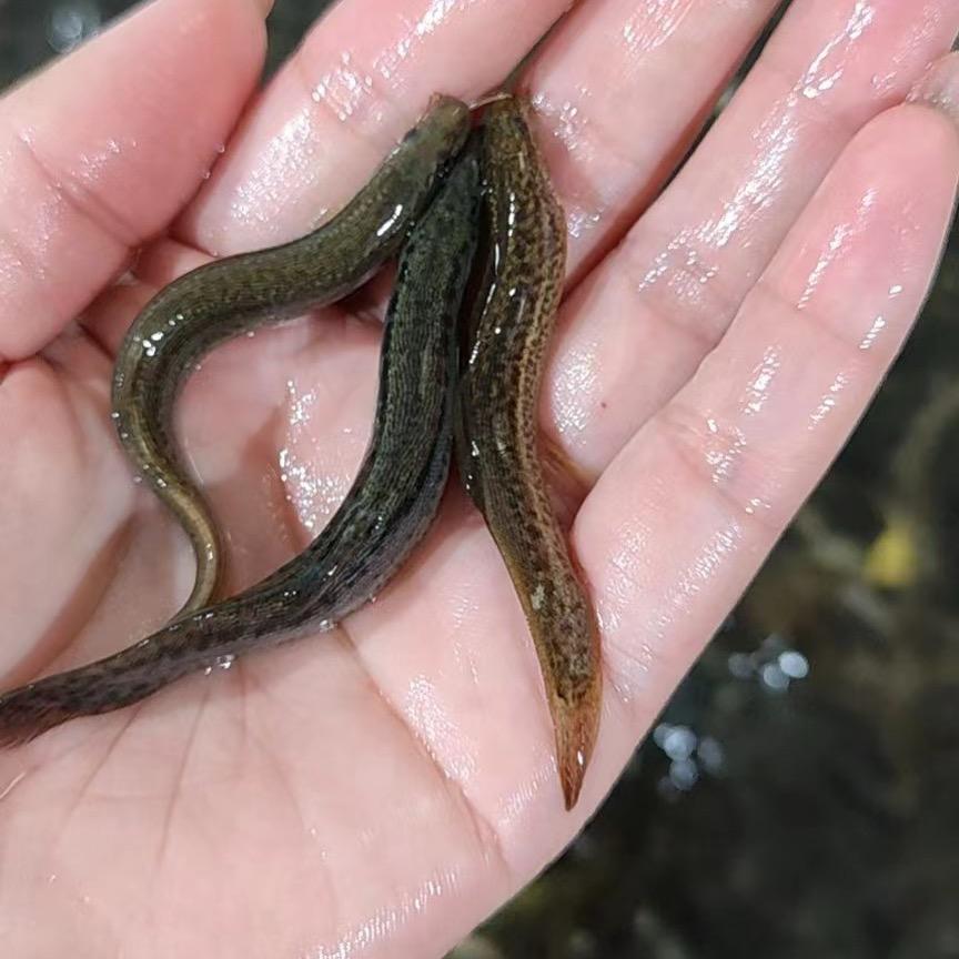 宿迁米聆竹制品有限公司