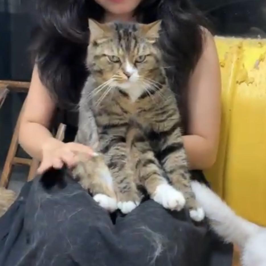开心宝贝