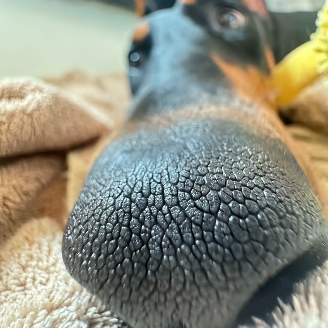 忘