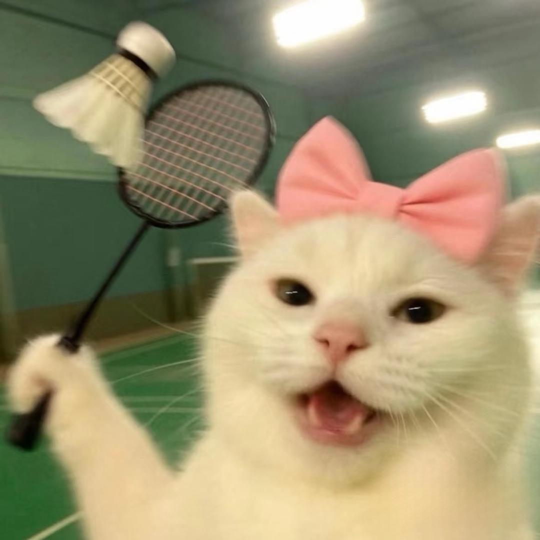 保堂不想再被喜芬骂了