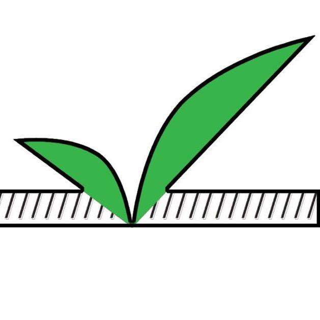 滚老师钢琴课堂