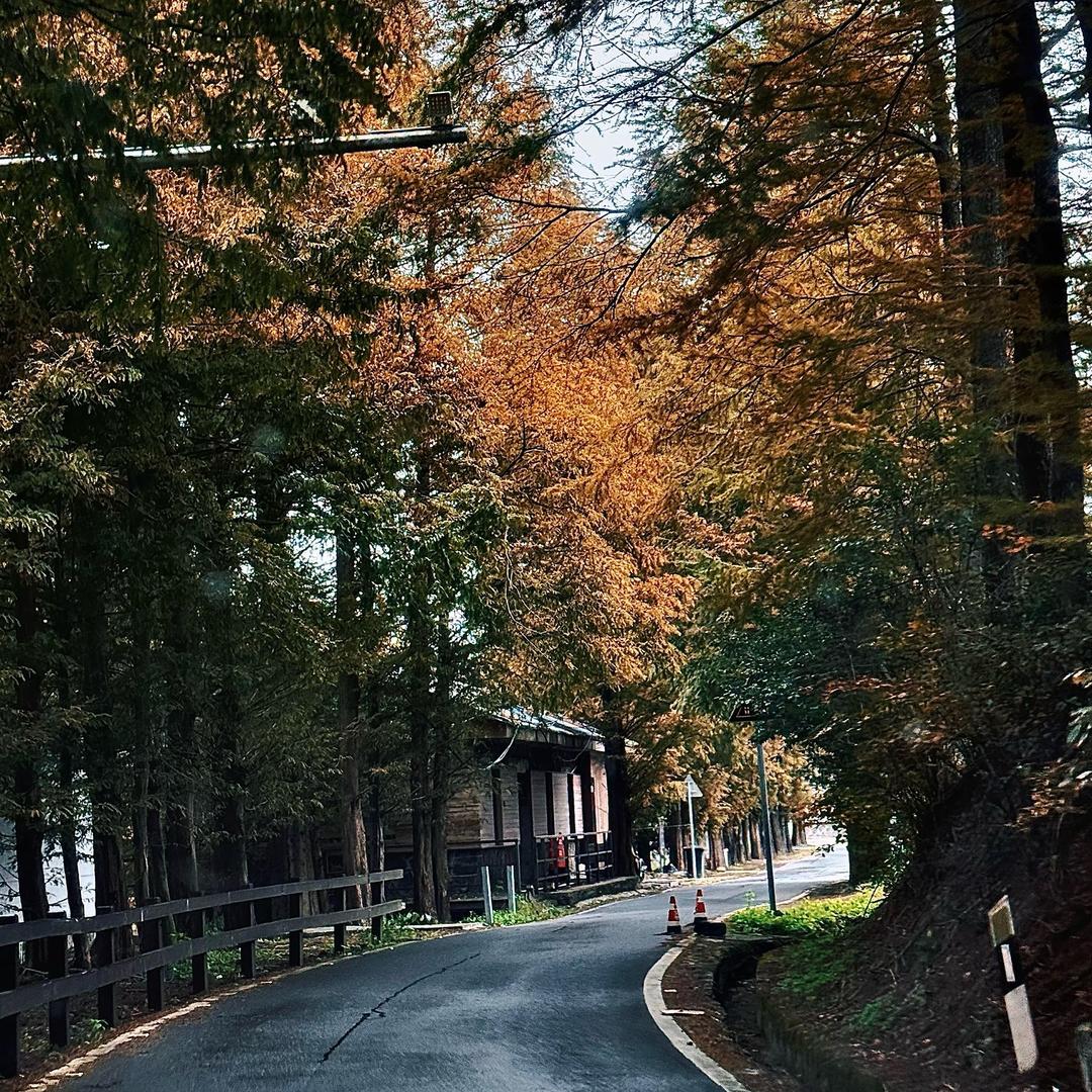 💋💋诺💋💋💋