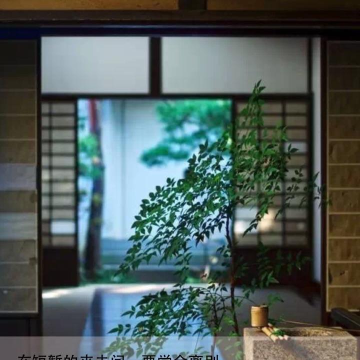 奔跑一生