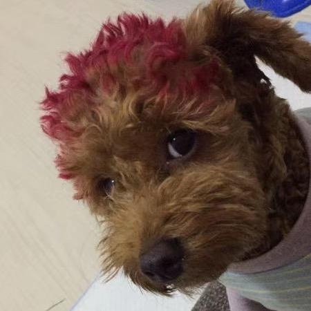 DD崽🦋妞妞（带着灵魂去旅行）