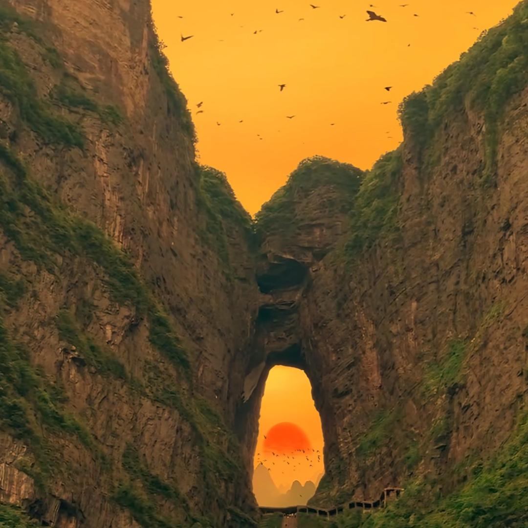 暴麦🌞