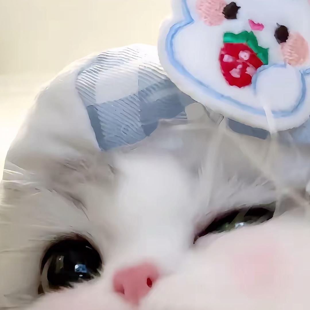 伊一（养分版）