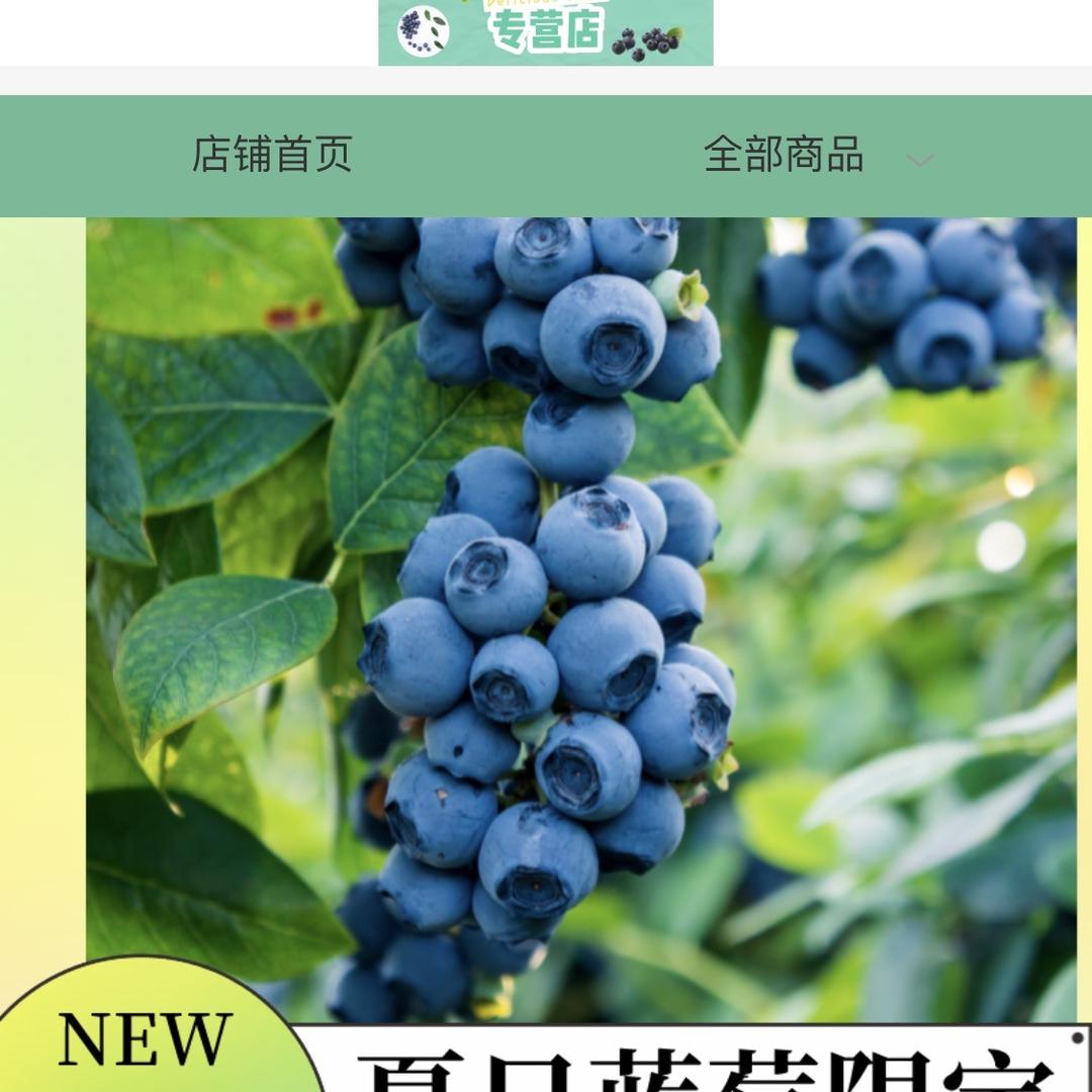 cuiyun131455