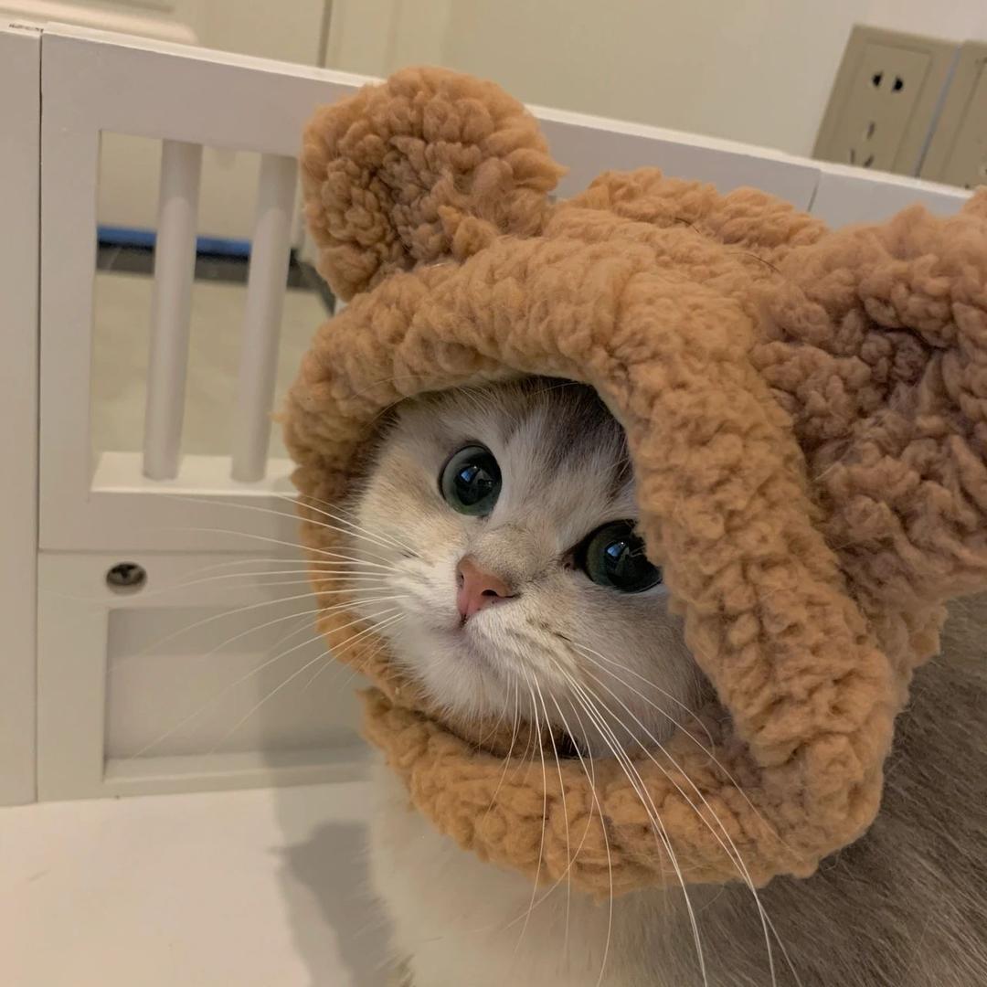 想吃螺蛳粉