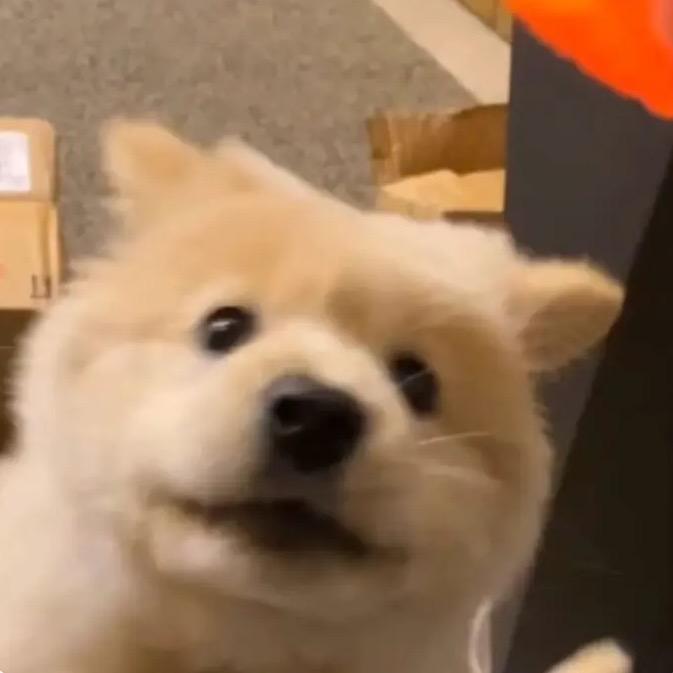 靠北啦