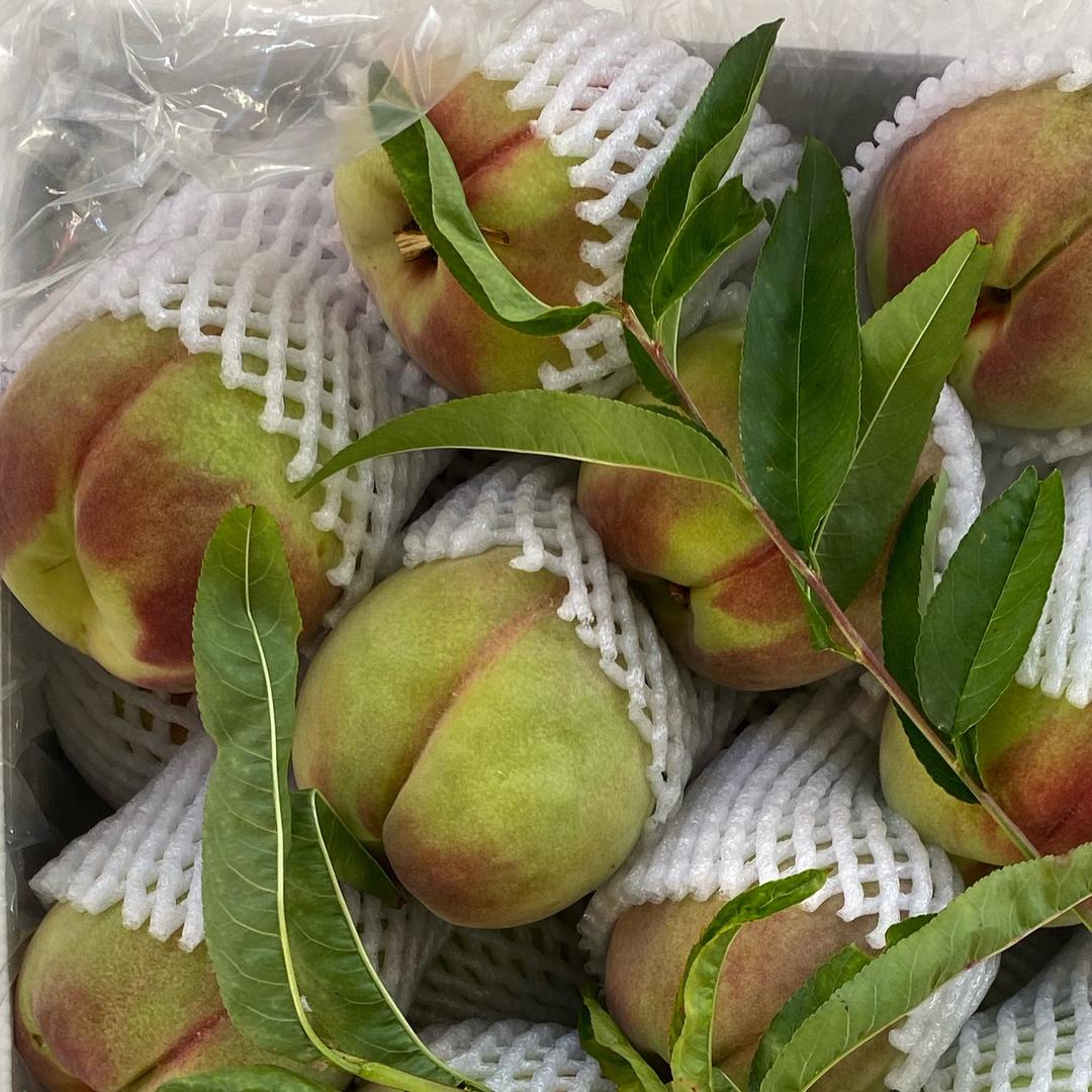 白小白精选生鲜