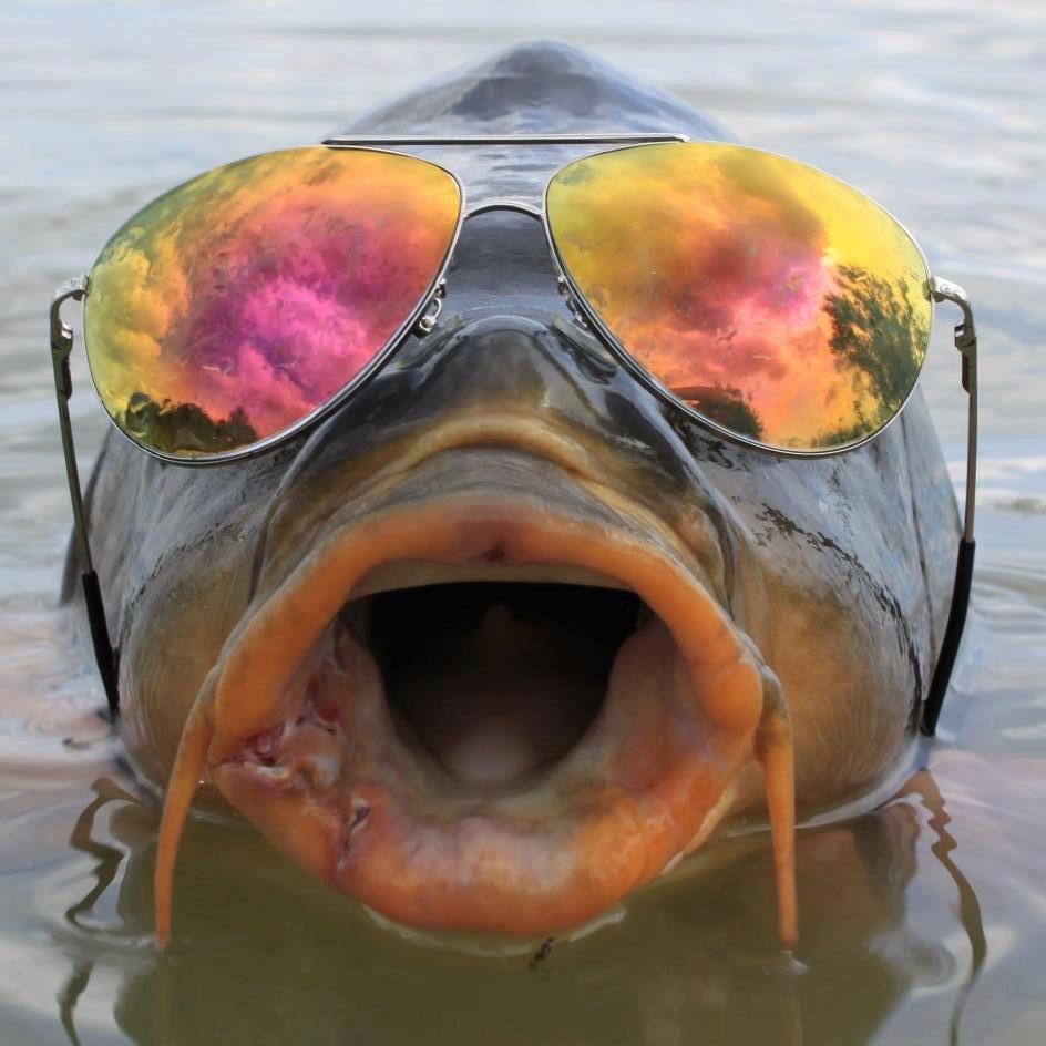 四海釣魚