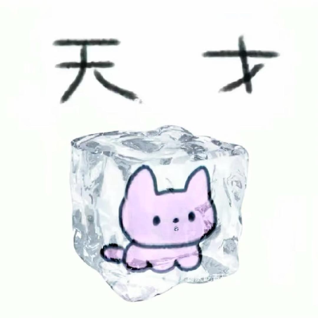 什锦猫猫