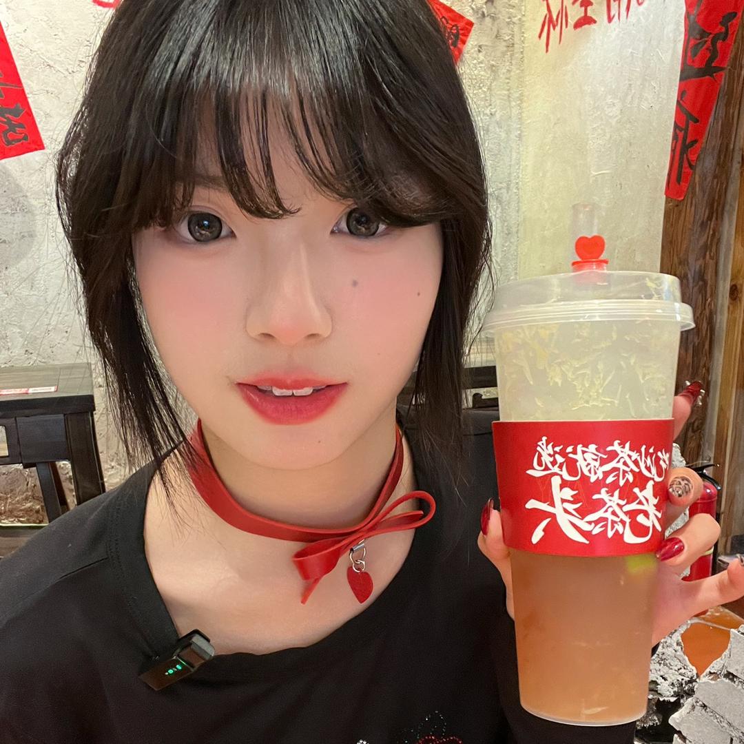 肥美圆子