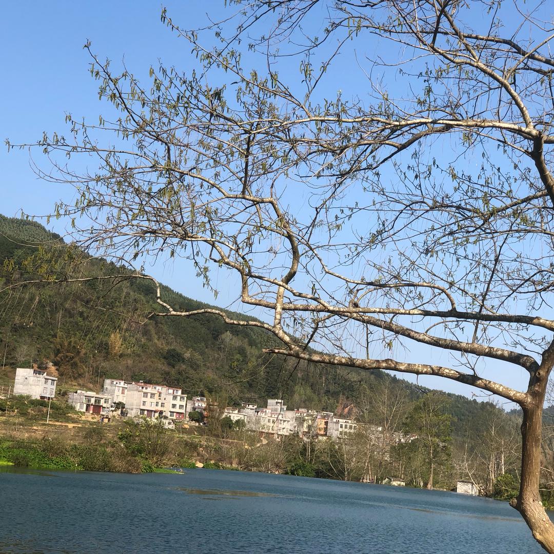 小陆：。