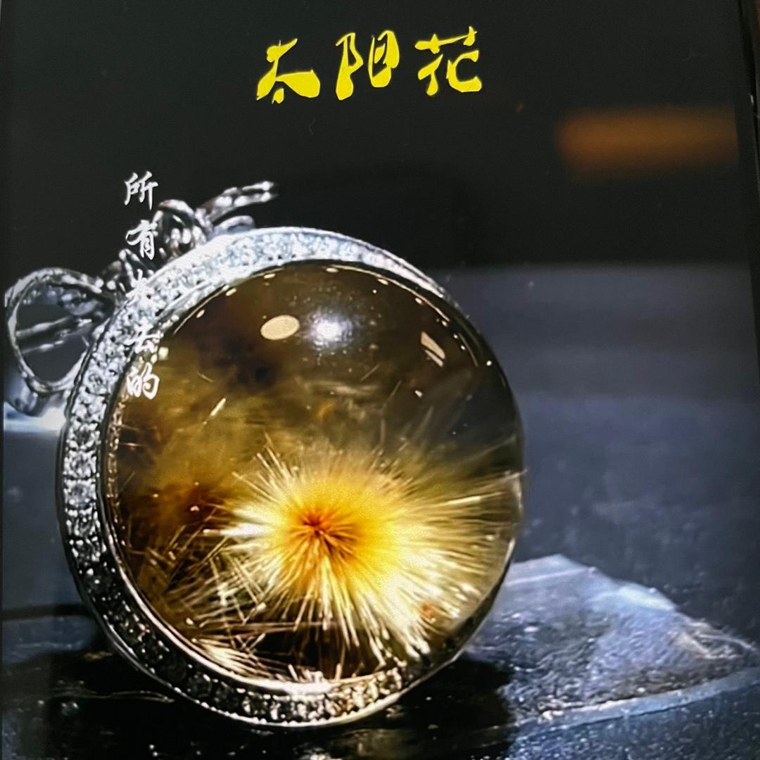 T78839898L