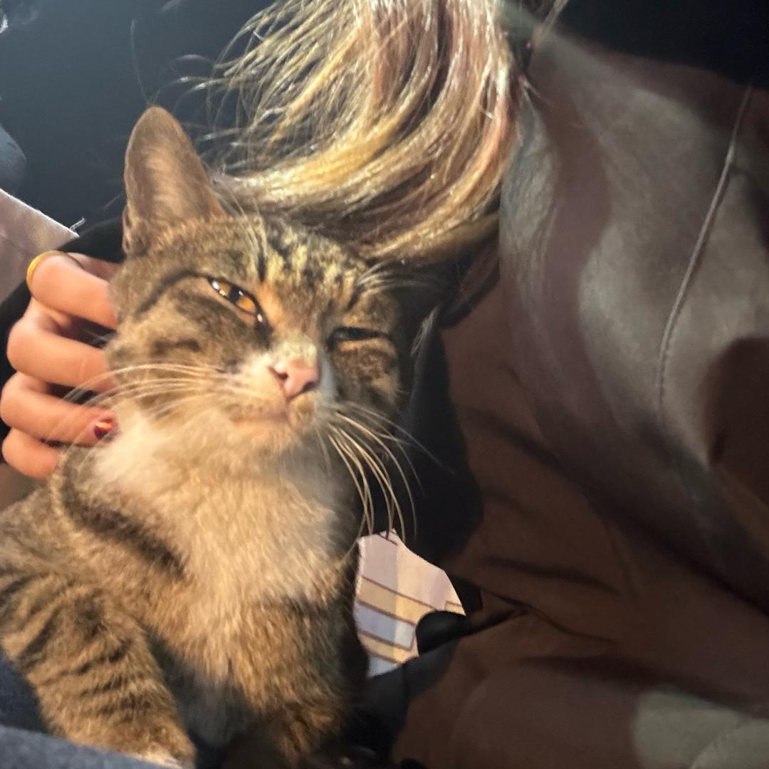 减肥也要多吃饭