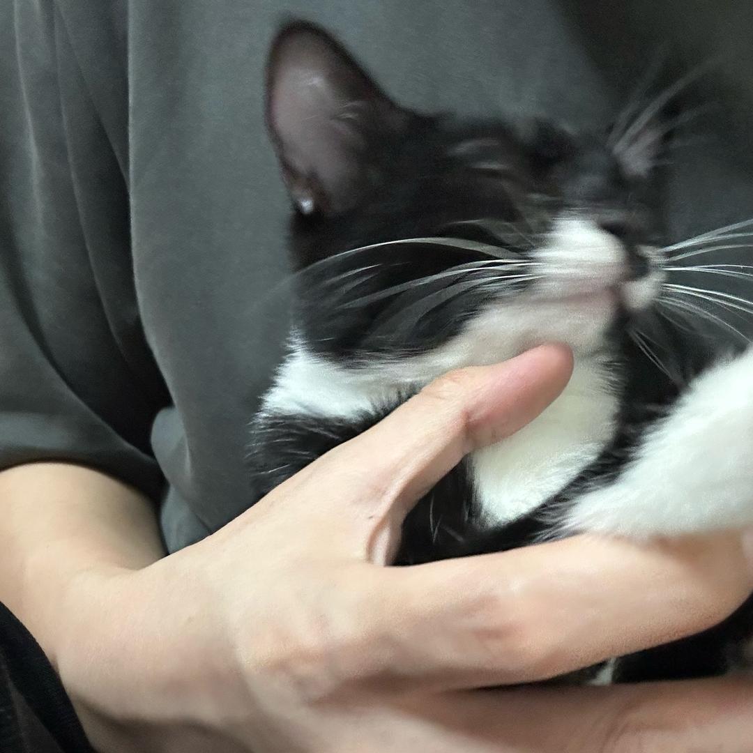 是橘子洲头呀