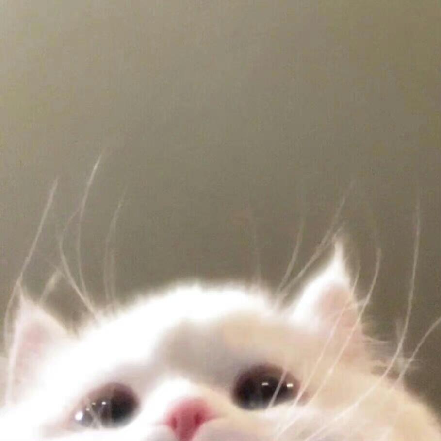 正负十一