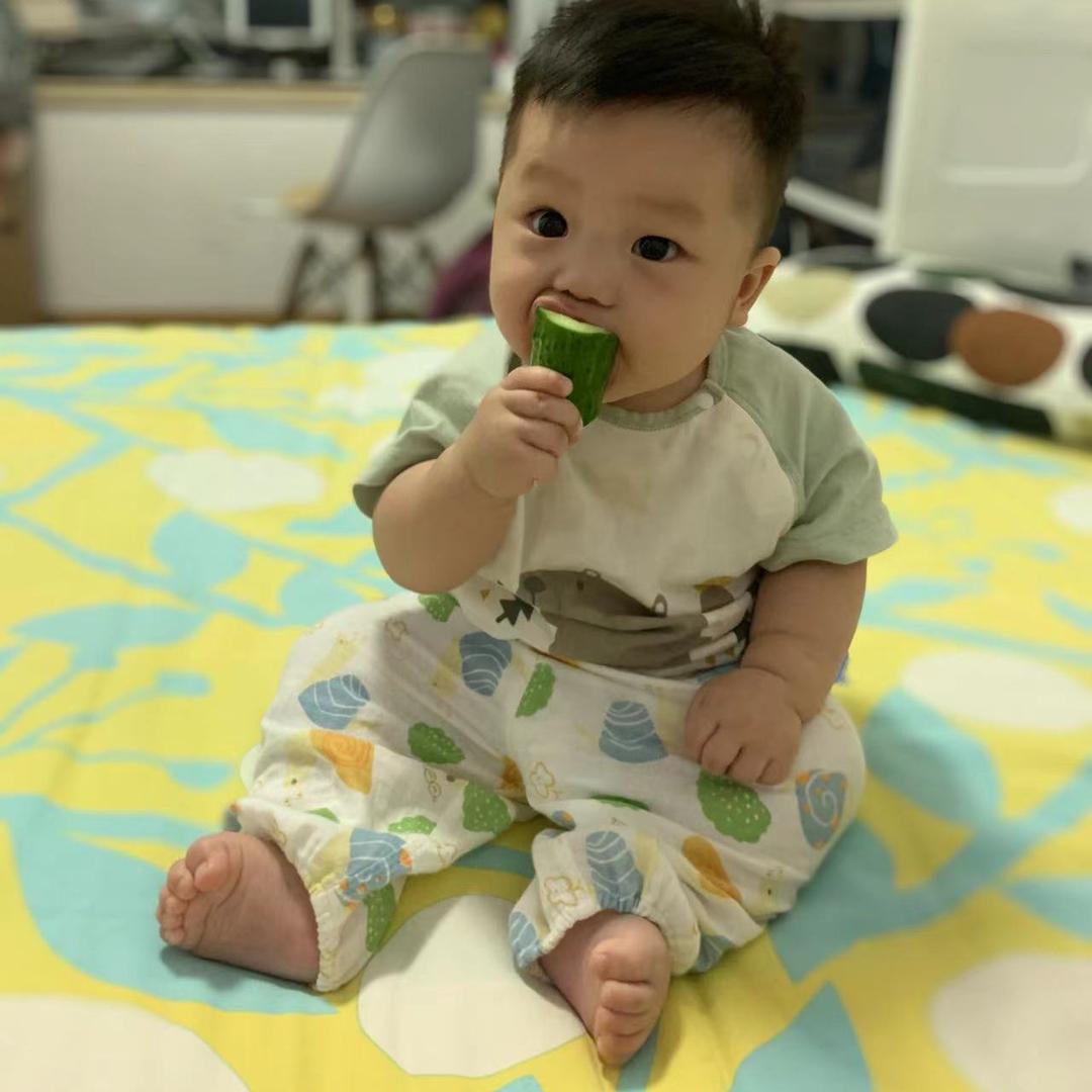 乐崽养成记