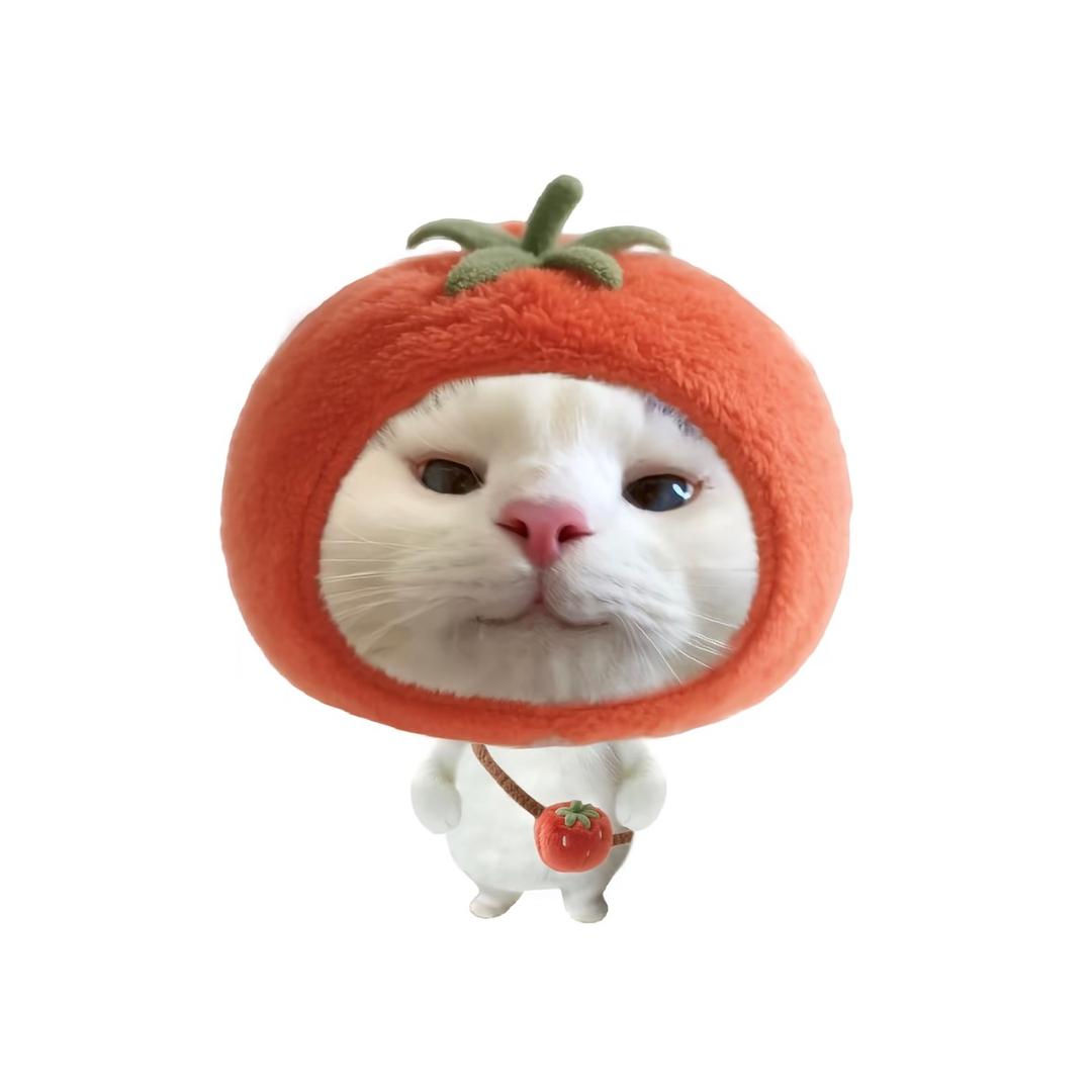 泡泡橘