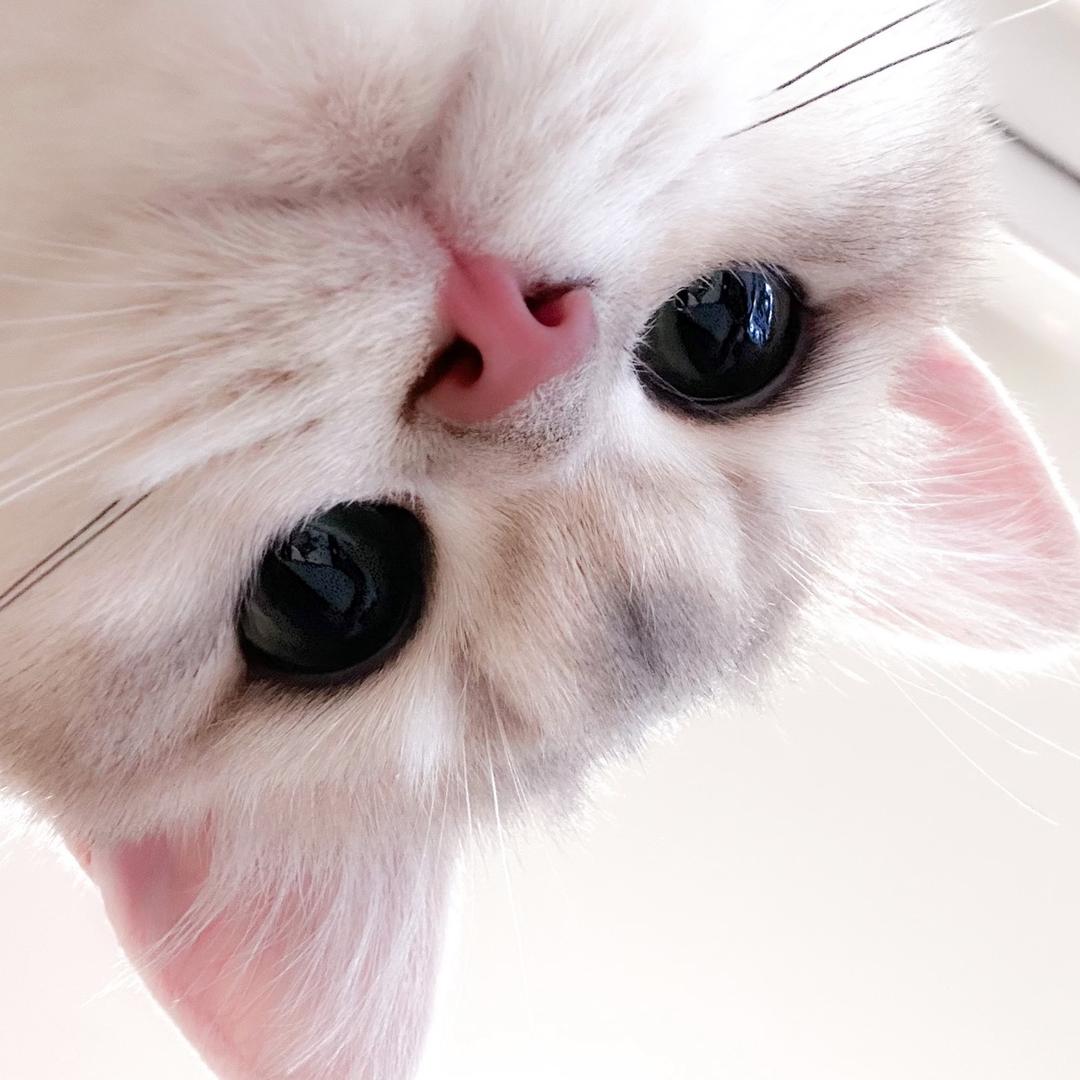 妈的我最烦装b的人