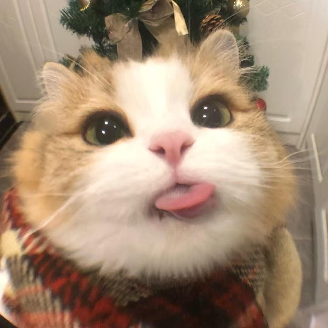 茶茶不好哄