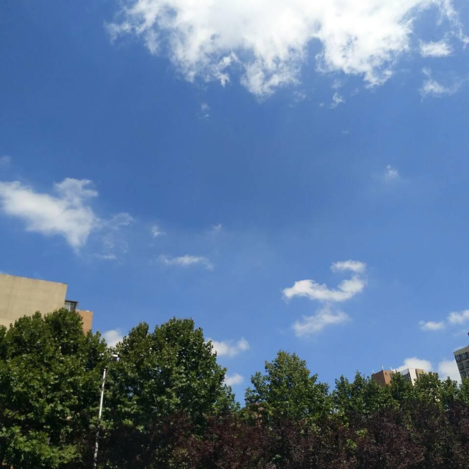 喜笑颜开的木瓜