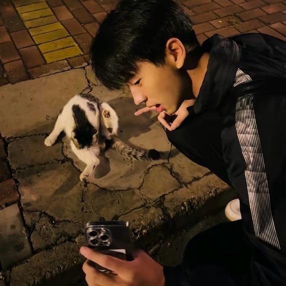 于晏（无畏契约）