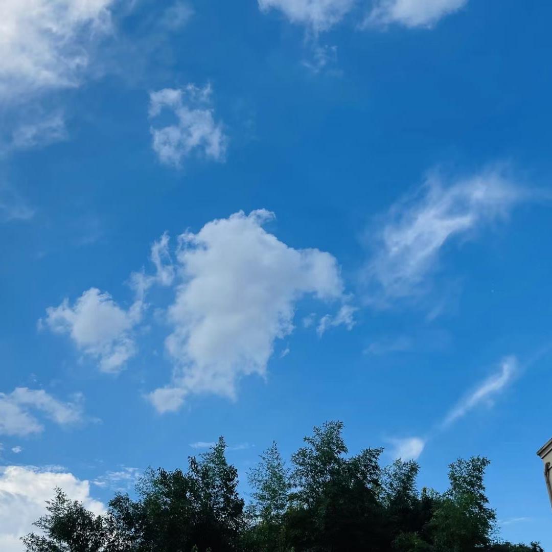 金逸家居百货优选