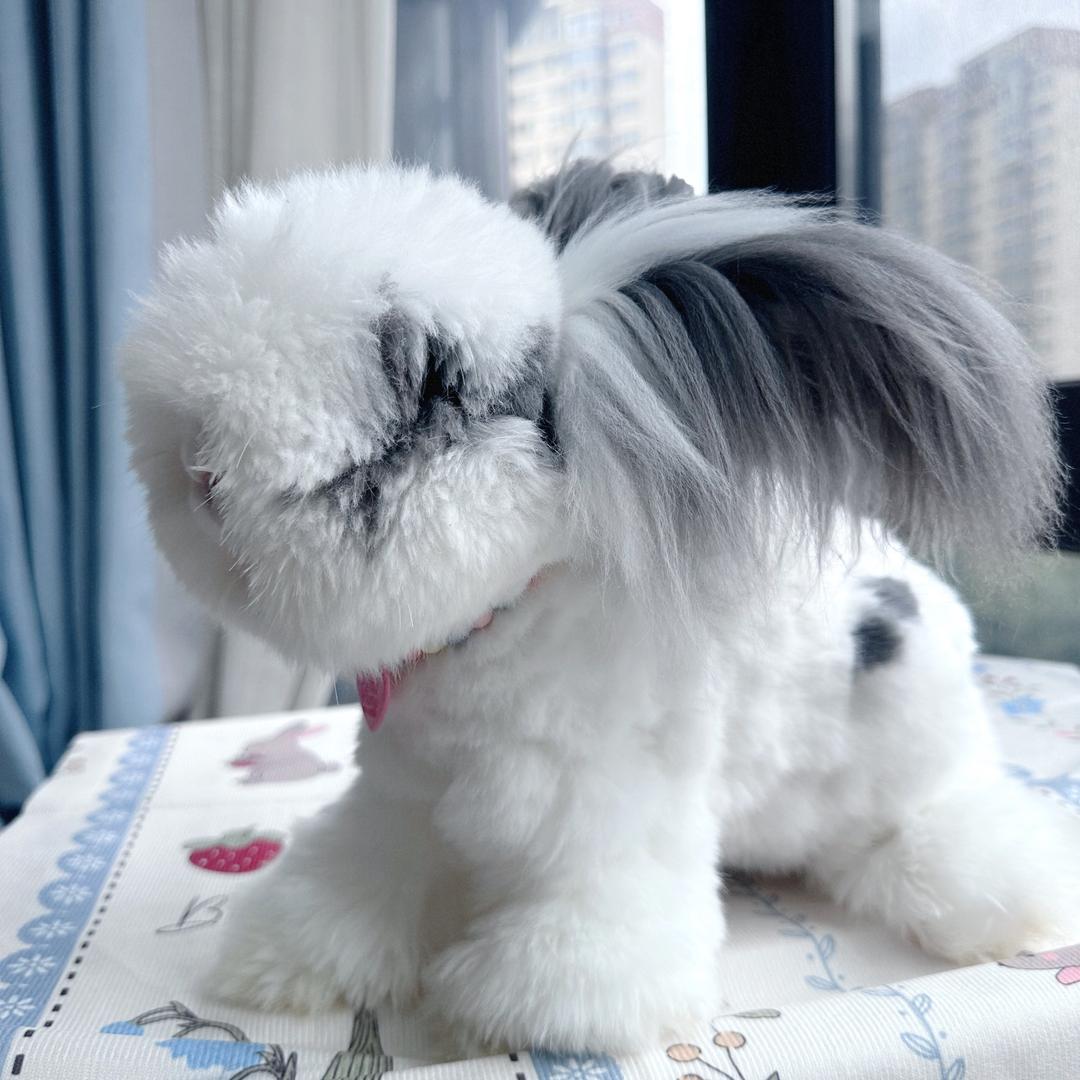 大林的兔兔🐰