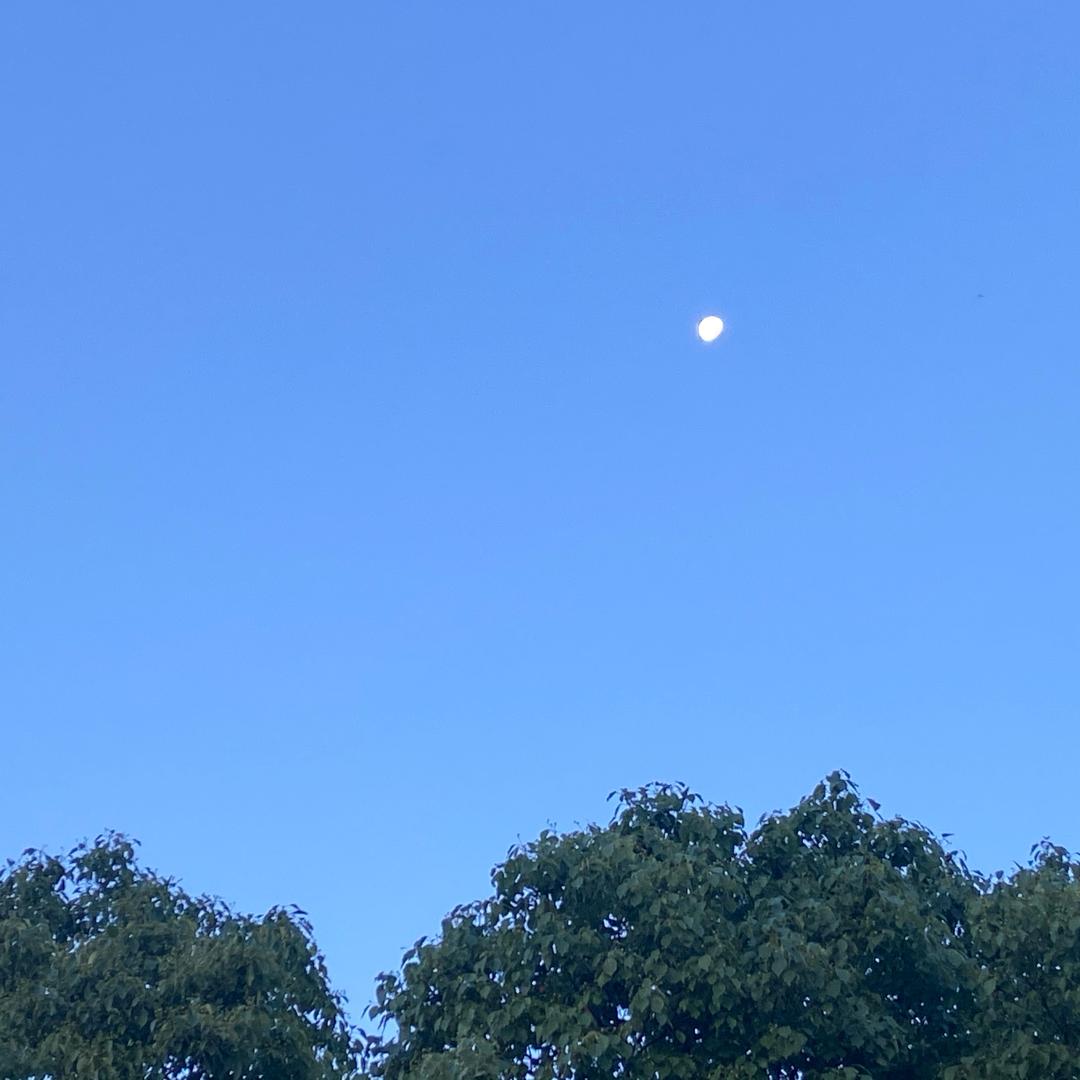 ….天天快乐🎊