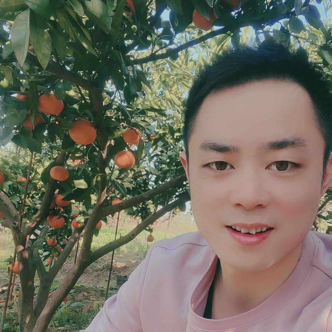 杨会长(正宗潮汕牛肉丸)