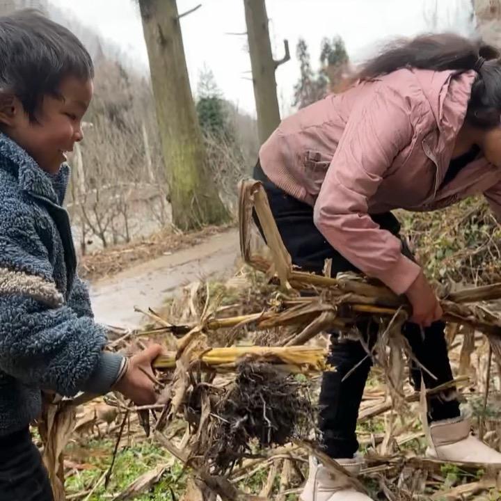 戱花加油