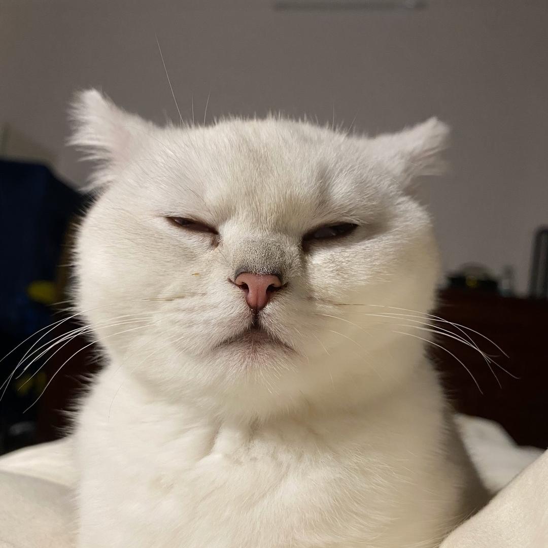 不哭的林轻语头像