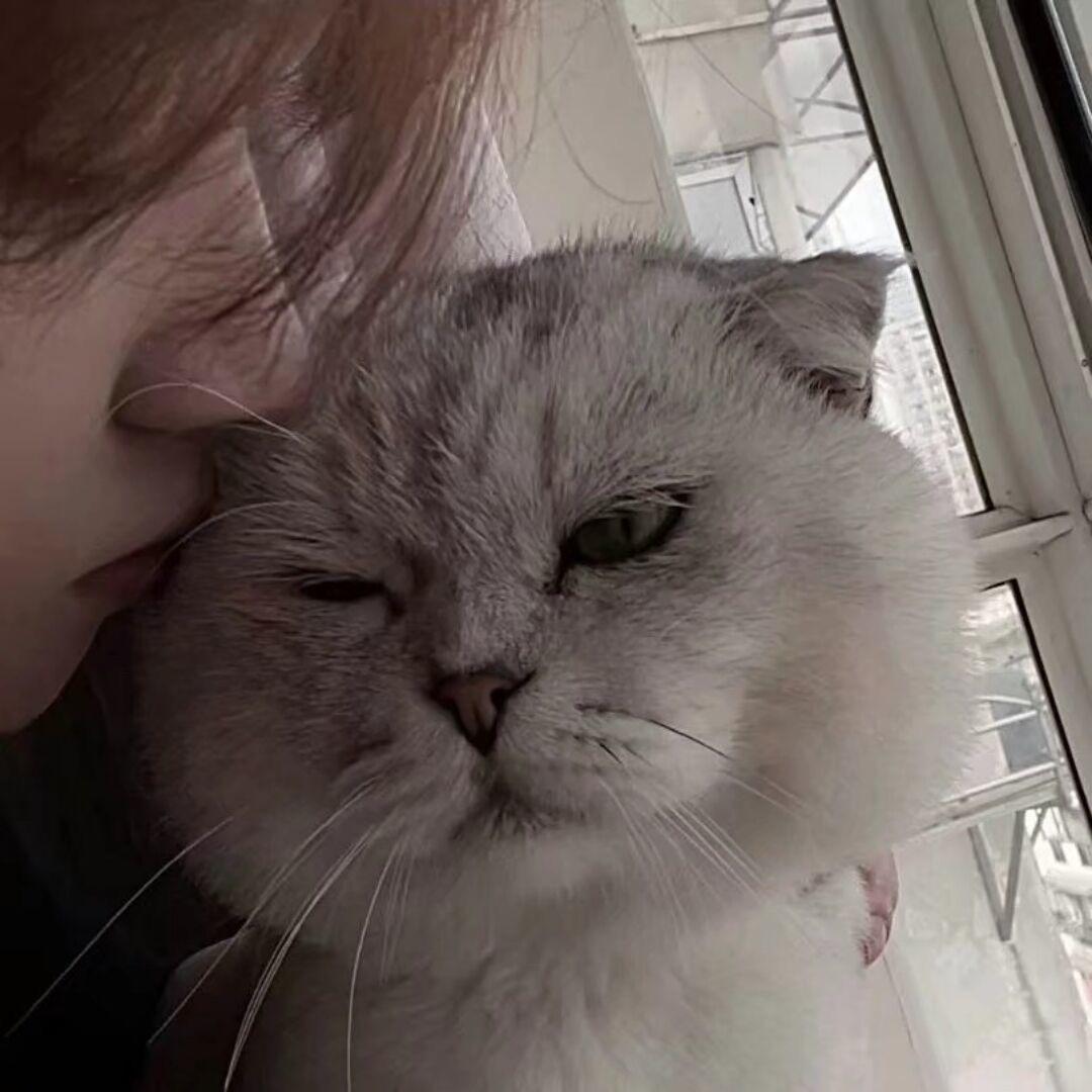 yjy.