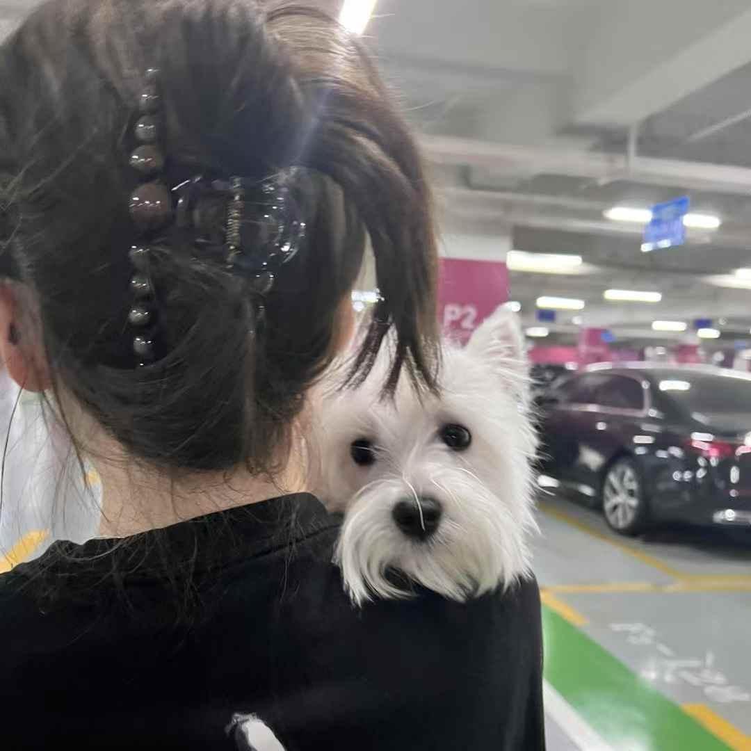 哆哆吃不饱