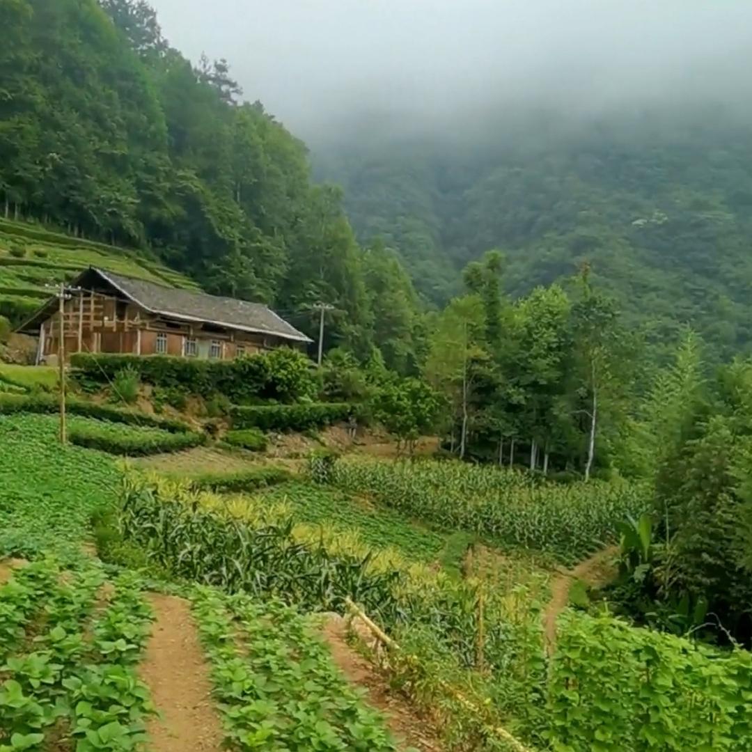 生鲜记