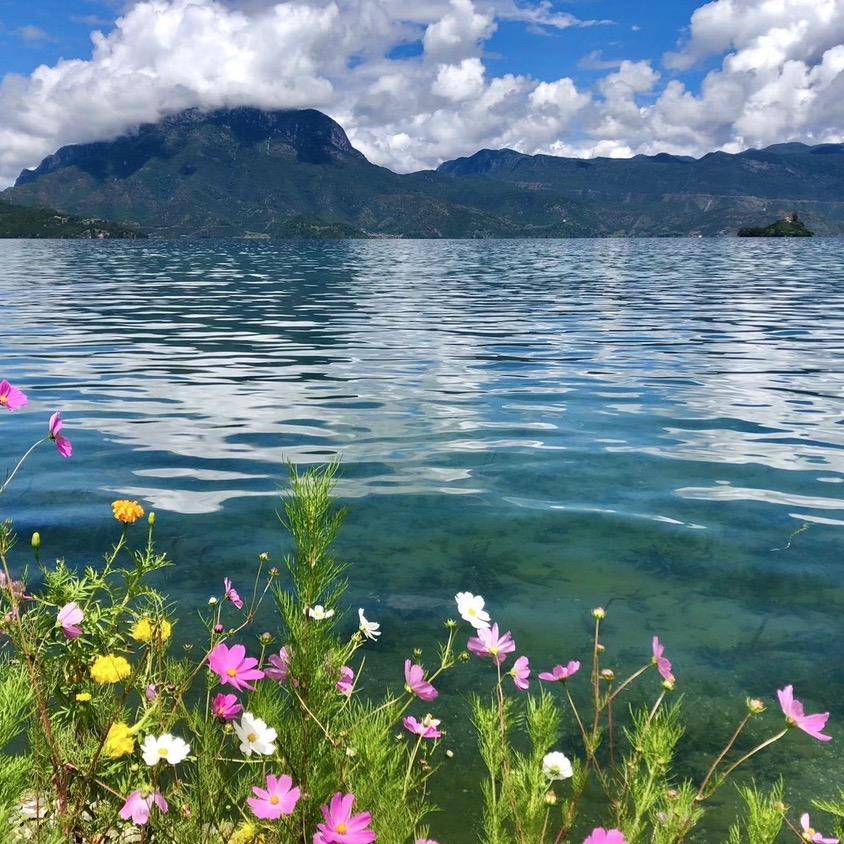 华丽（爱生活）