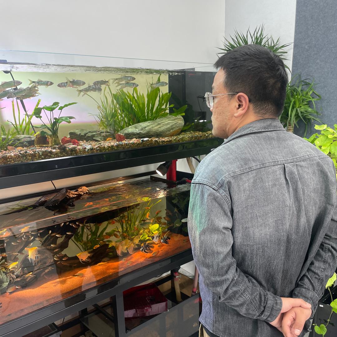 西安供销集团水族（司柠家）