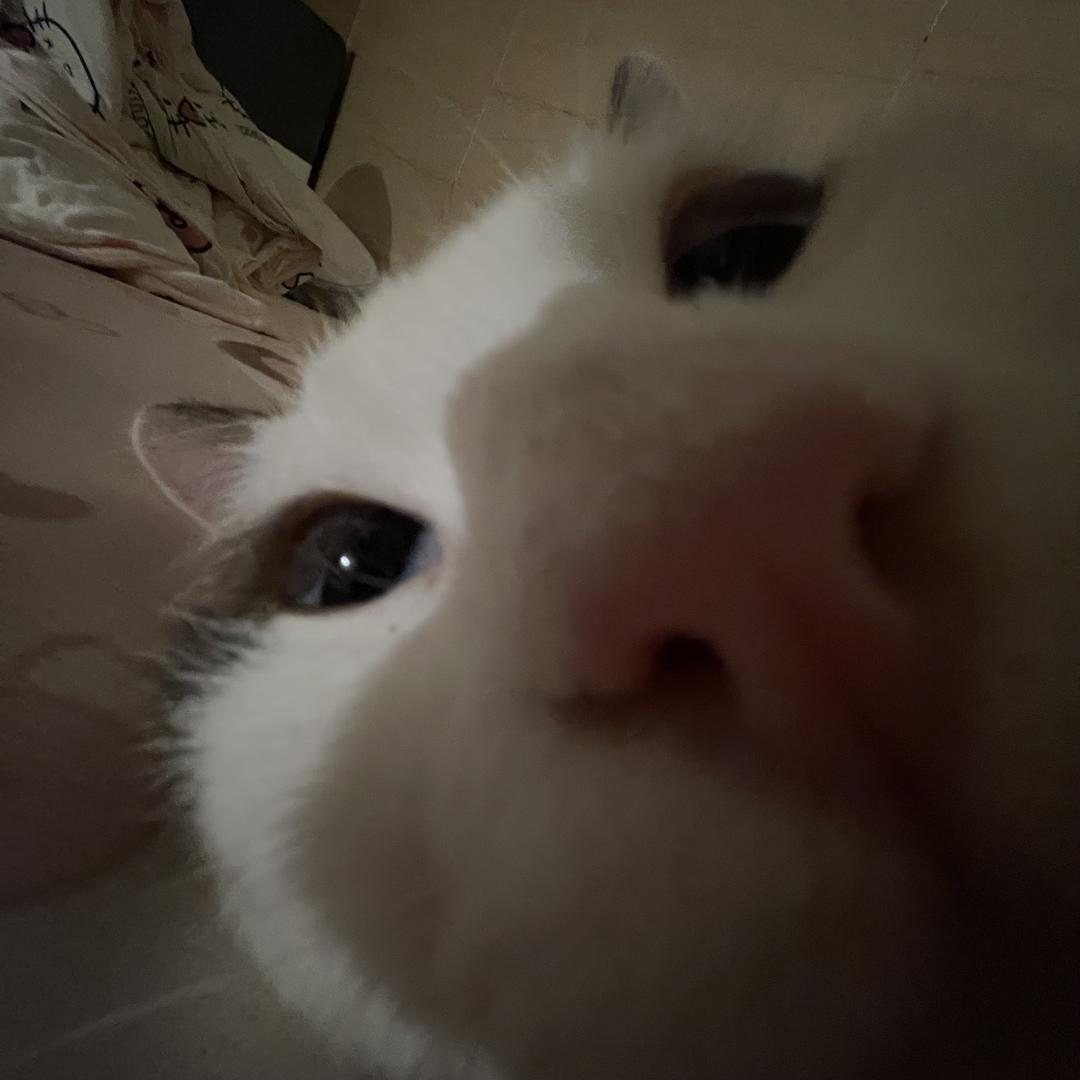 9h