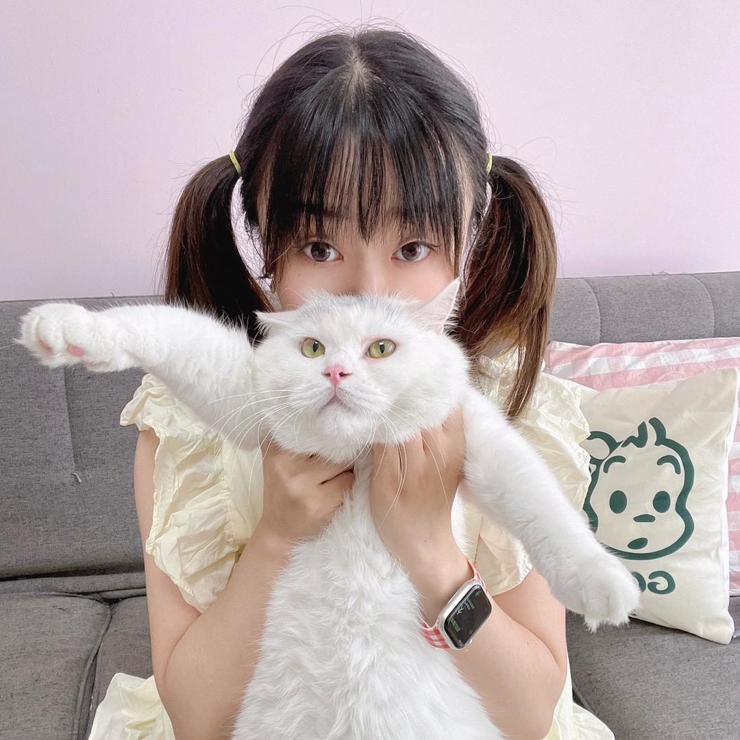 胖脑壳兔