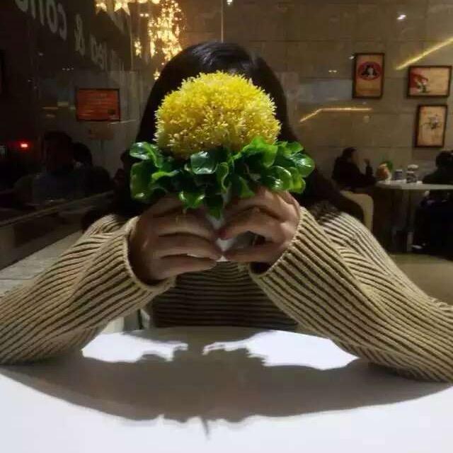 是美琪呀