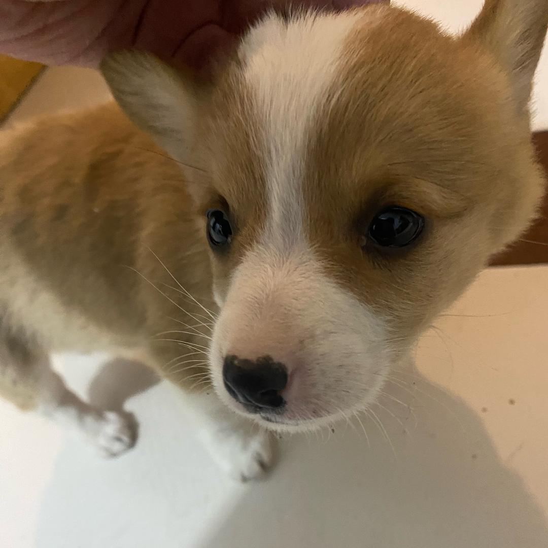 不在左右，却被左右