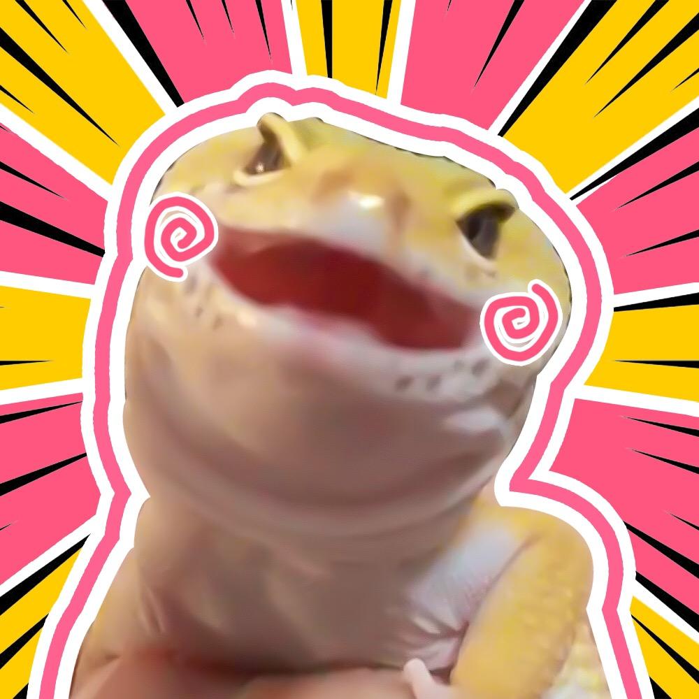 晟宝片本晟