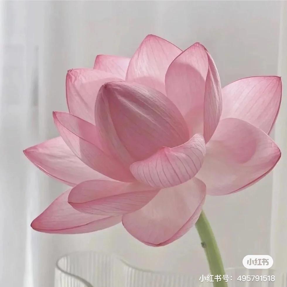 畅子.