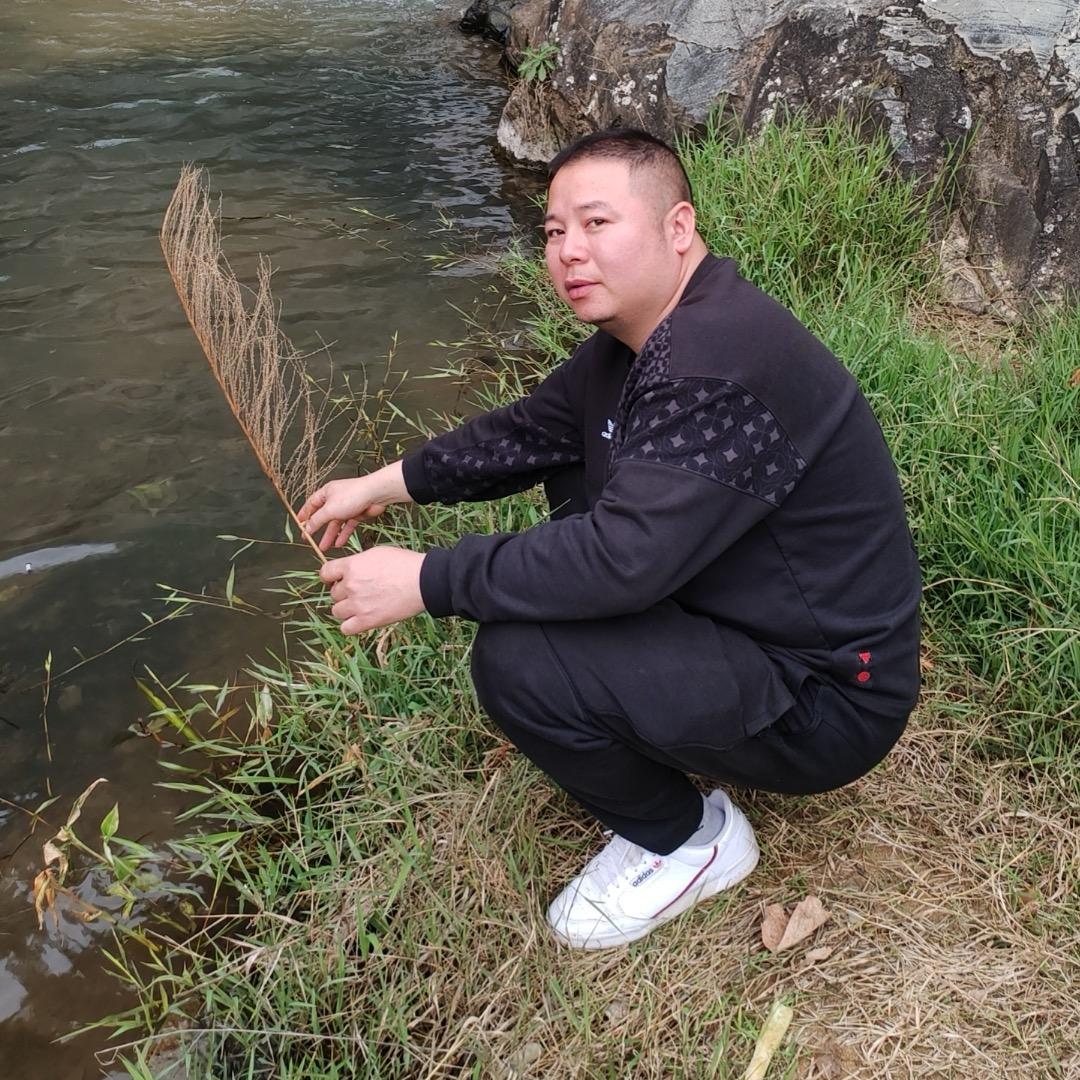 鲈鱼
